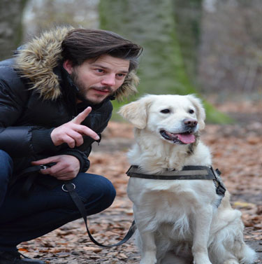Dog walking helps keep your dog sane